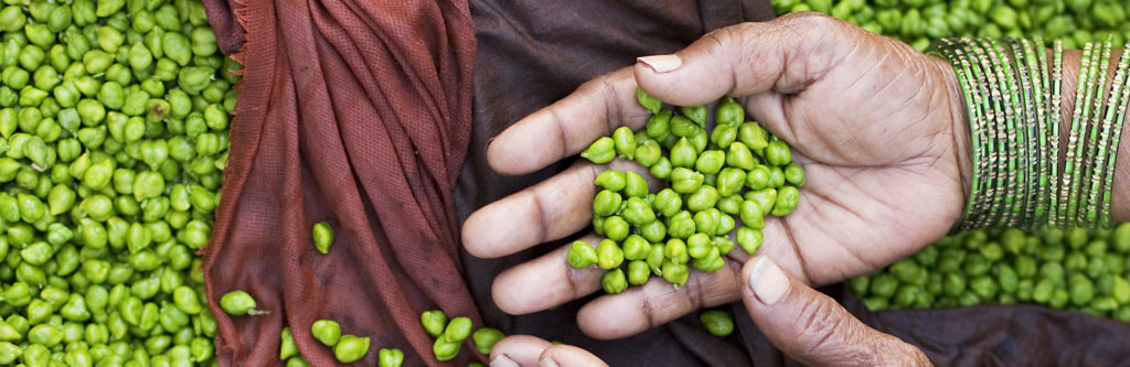 India Varanasi Green Peas 2714 E1479019796976 1024x333