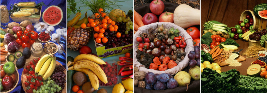 Vegetables 1529725 1920cropped 1024x358