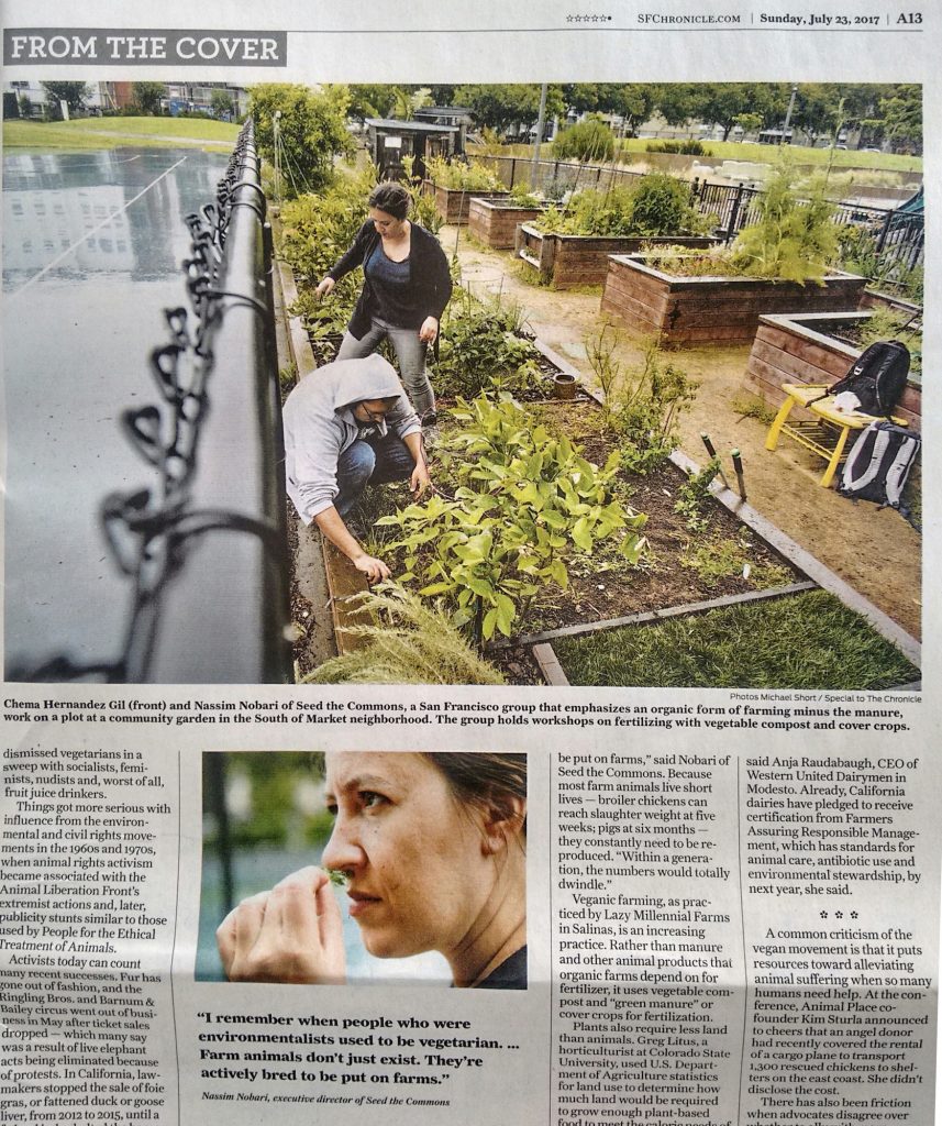 paper Paper 857x1024