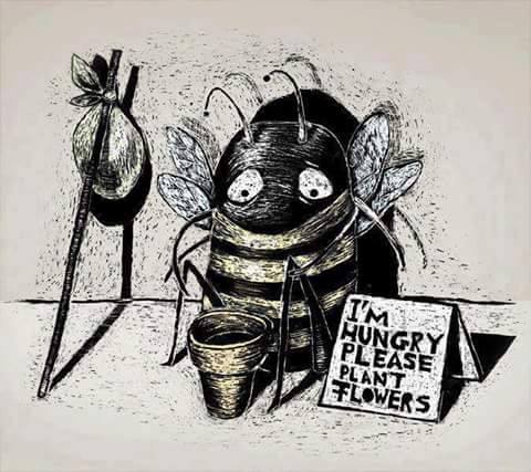 Will Buying Honey Save The Bees Seed The Commons