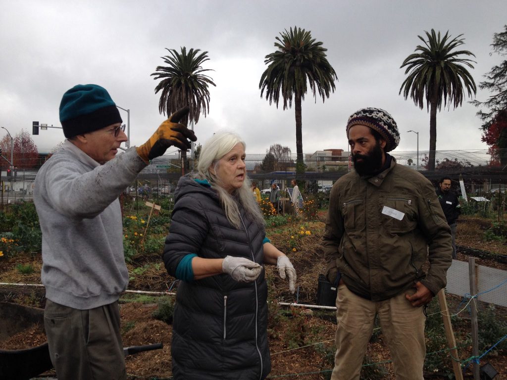 12357012 691174231017813 4815587916826570242 o(1) 12357012 691174231017813 4815587916826570242 o(1)