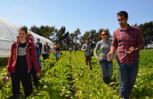 signal 2025 09 28 152040