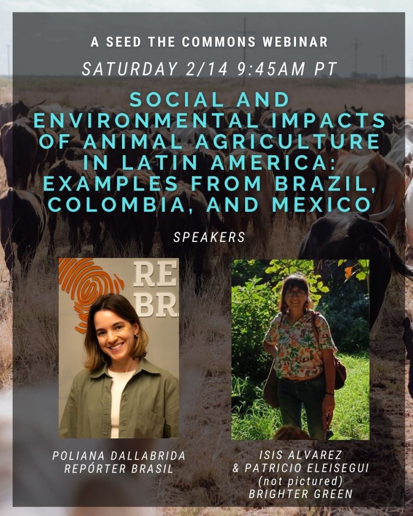 2026 02 14 webinar instagram(3)