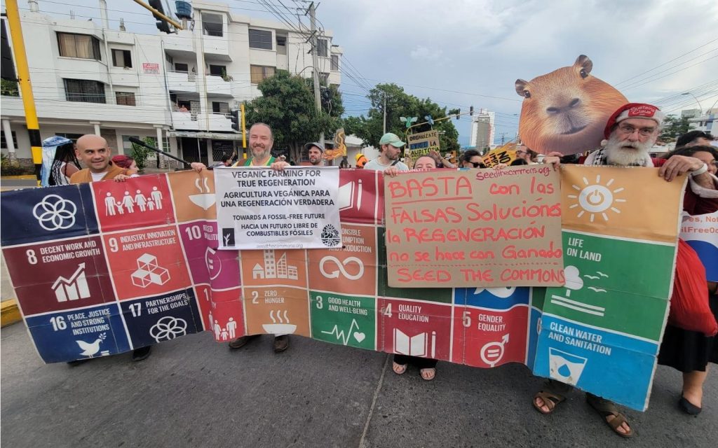 Santa Marta People's Summit March